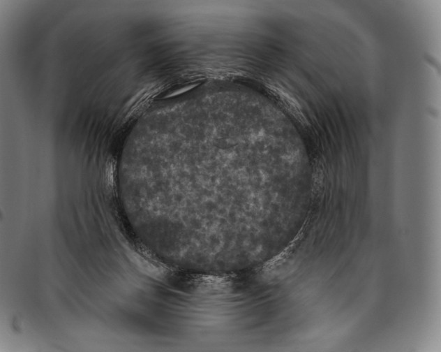 X0000096490166200802211246