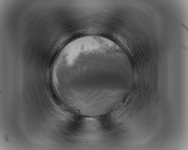 X0000096490167200802211246