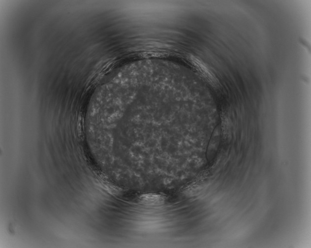 X0000096490169200802211246