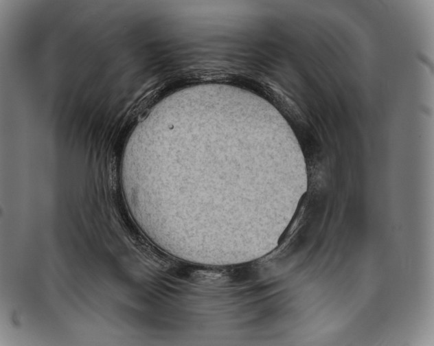 X0000096490170200802211246