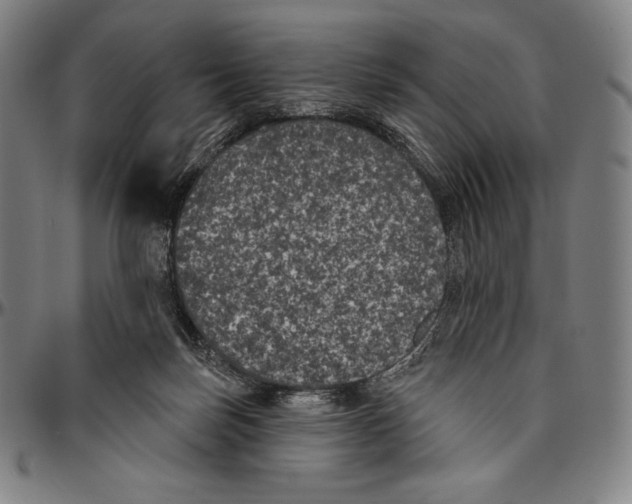 X0000096490171200802211246