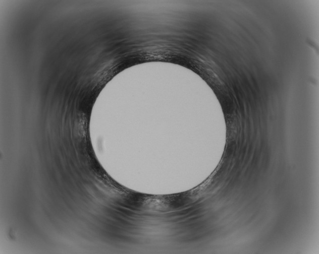 X0000096490174200802211246