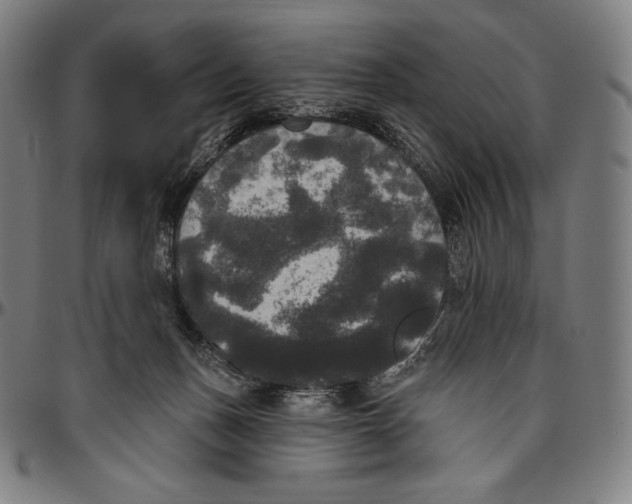 X0000096490175200802211246