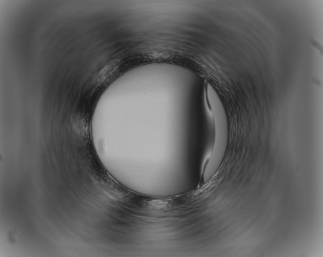 X0000096490176200802211246