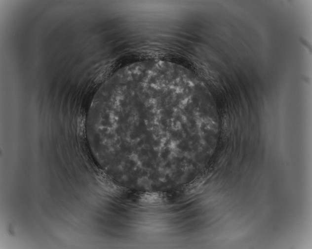 X0000096490177200802211246