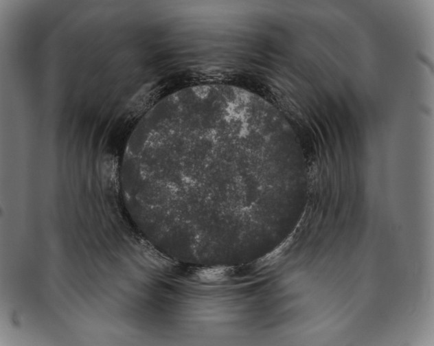 X0000096490178200802211246