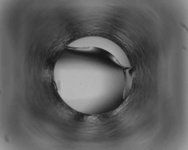 X0000096490180200802211246