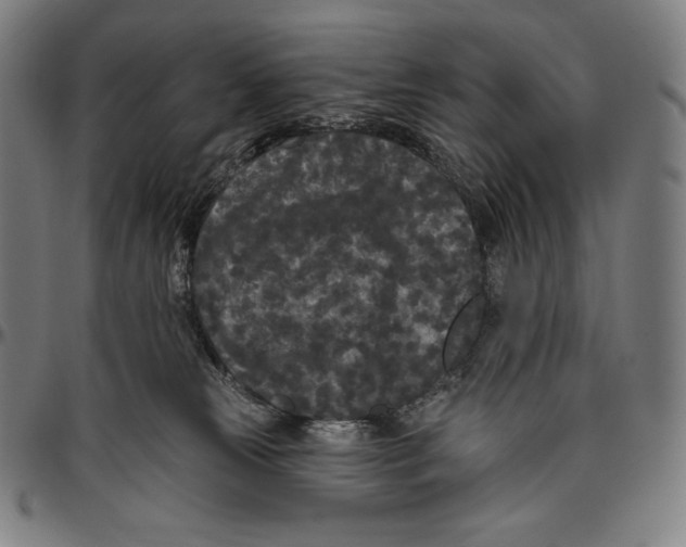 X0000096490181200802211246