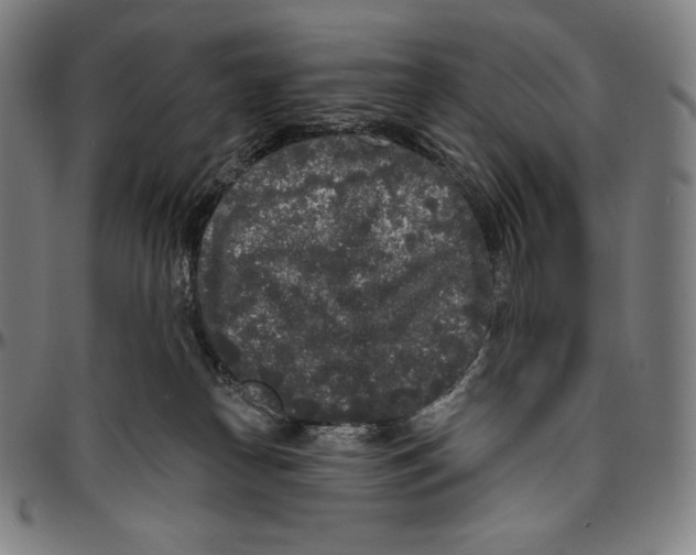 X0000096490182200802211246