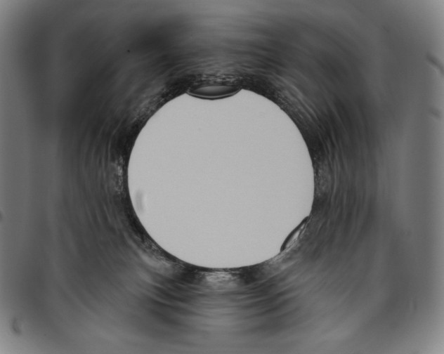 X0000096490183200802211246