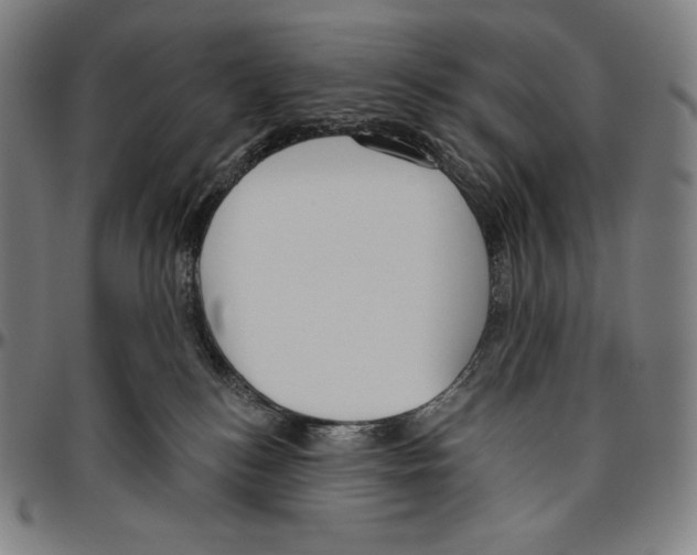 X0000096490184200802211246