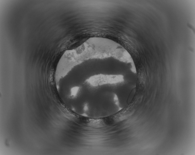 X0000096490185200802211246