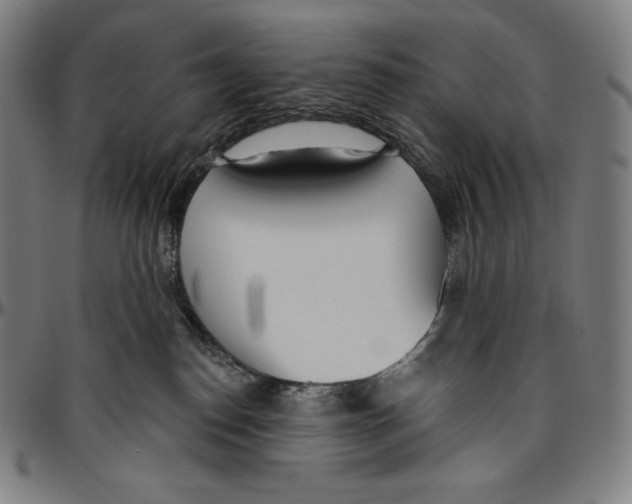 X0000096490186200802211246