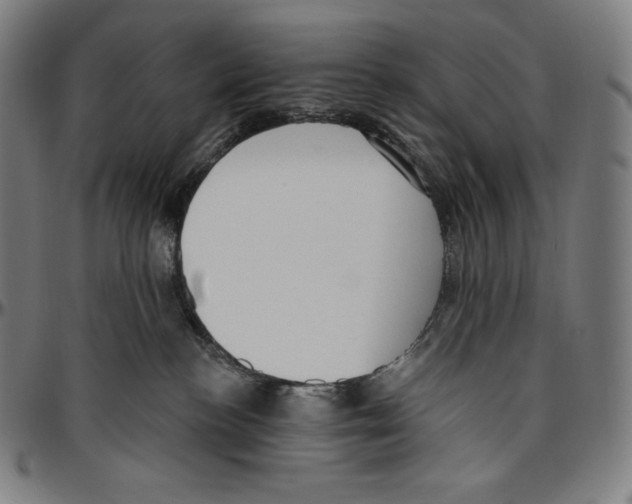 X0000096490188200802211246