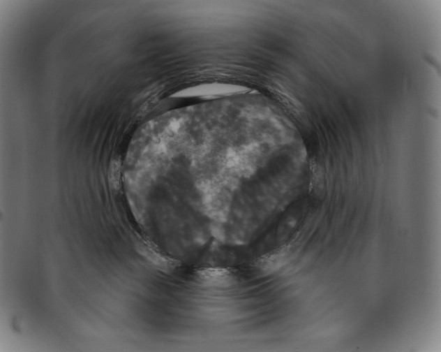 X0000096490189200802211246