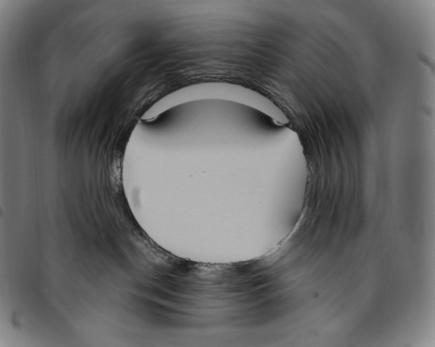 X0000096490190200802211246