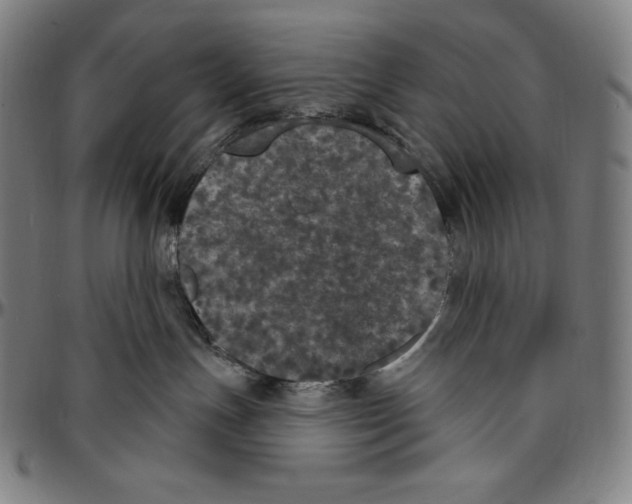 X0000096490191200802211246