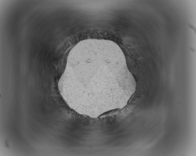 X0000096490192200802211246