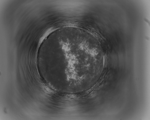 X0000096490195200802211246