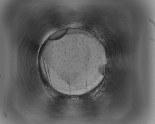 X0000096490196200802211245