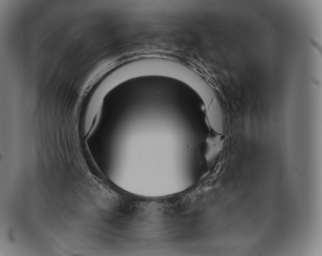 X0000096490197200802211245