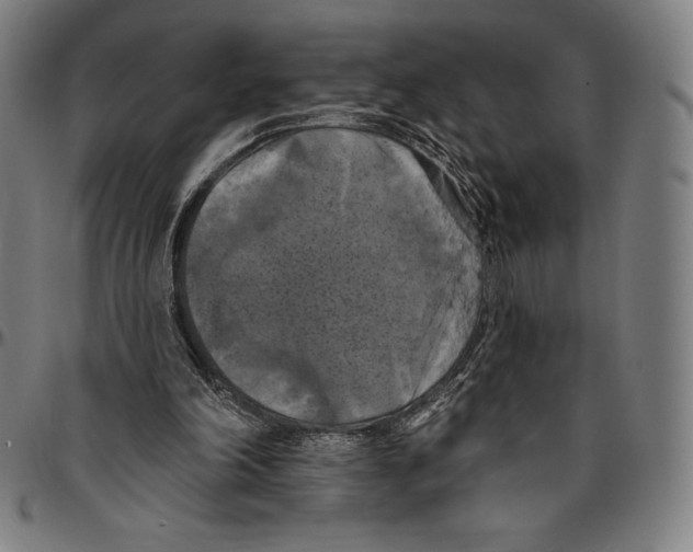 X0000096490198200802211245