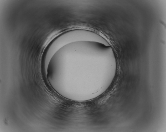 X0000096490199200802211245