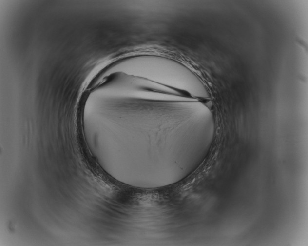 X0000096490200200802211245