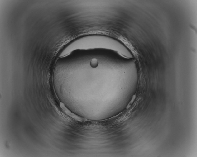 X0000096490201200802211245