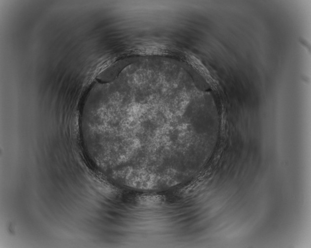 X0000096490202200802211245