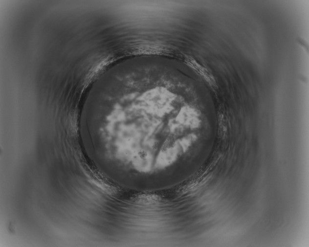 X0000096490203200802211245