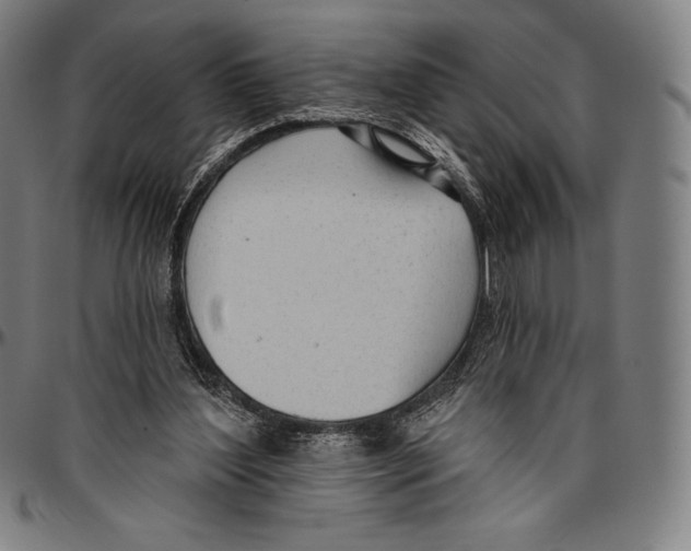 X0000096490204200802211245