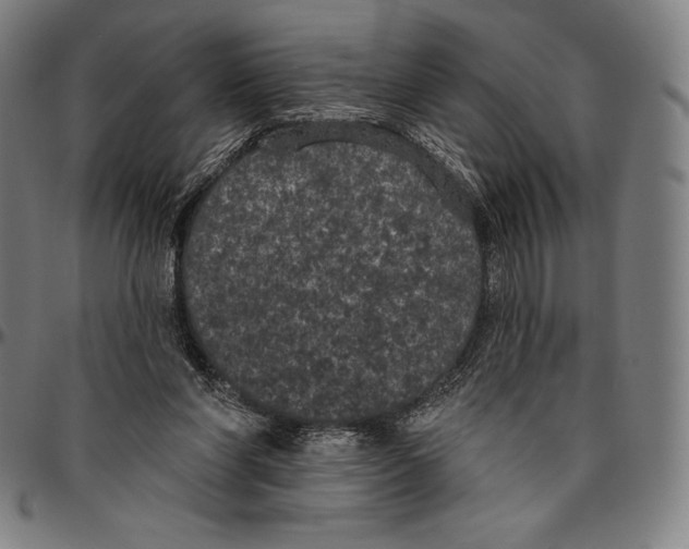 X0000096490206200802211245