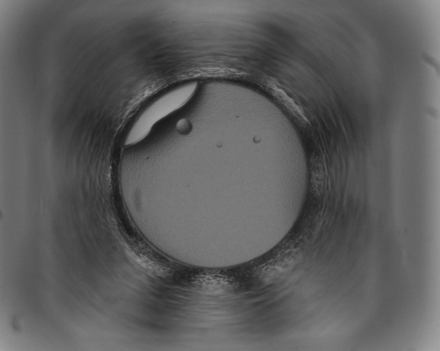 X0000096490207200802211245