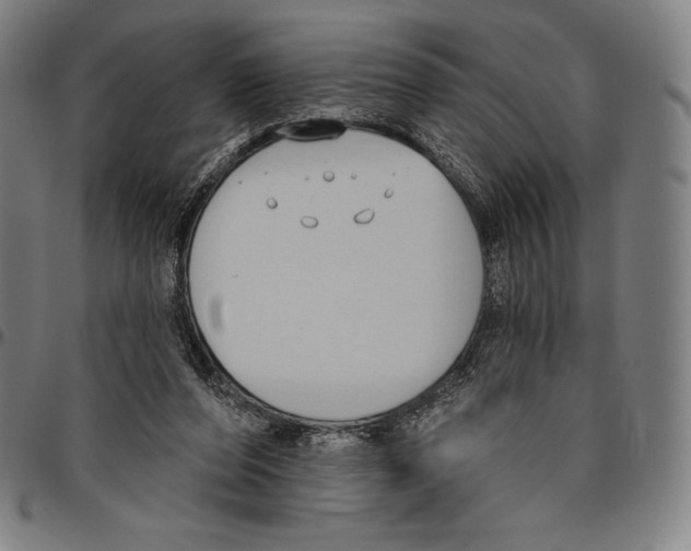 X0000096490208200802211245