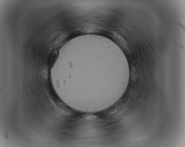 X0000096490210200802211245