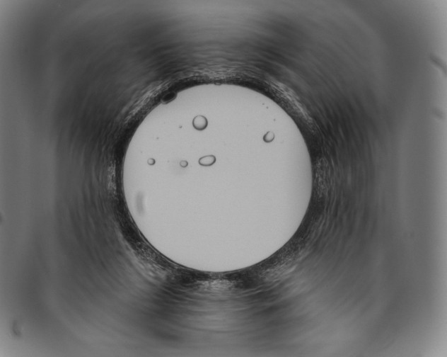 X0000096490212200802211245