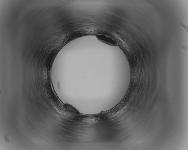 X0000096490213200802211245