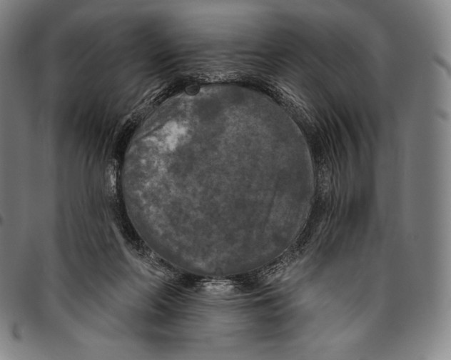 X0000096490214200802211245