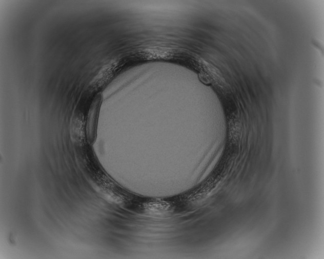 X0000096490215200802211245