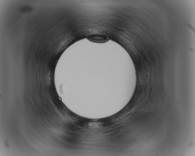 X0000096490216200802211245