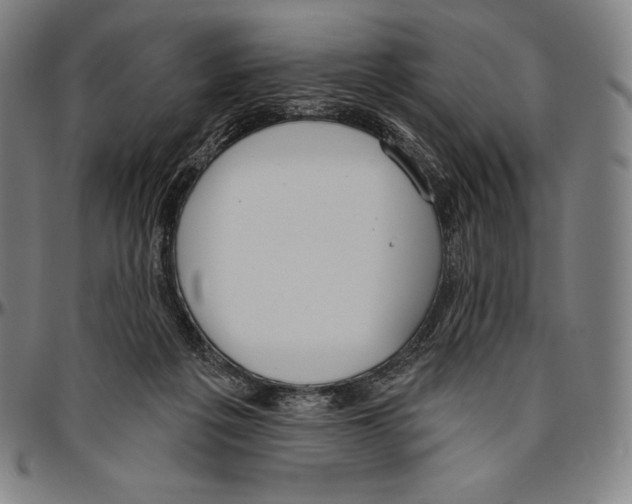 X0000096490217200802211245