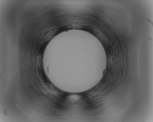 X0000096490218200802211245