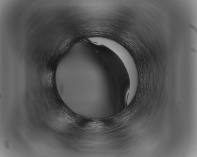 X0000096490219200802211245