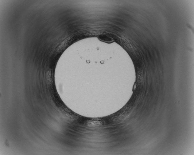 X0000096490220200802211245