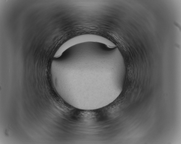 X0000096490221200802211245