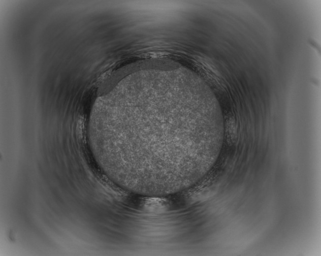 X0000096490222200802211245