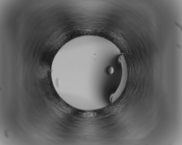 X0000096490225200802211245