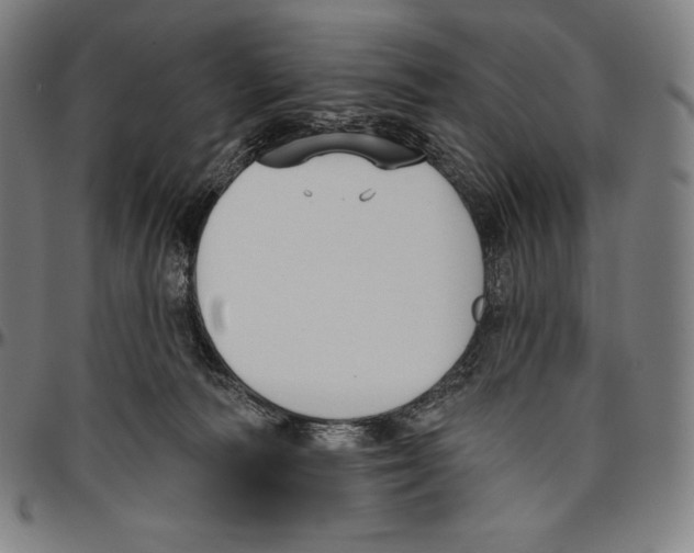 X0000096490226200802211245