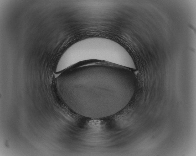 X0000096490227200802211245